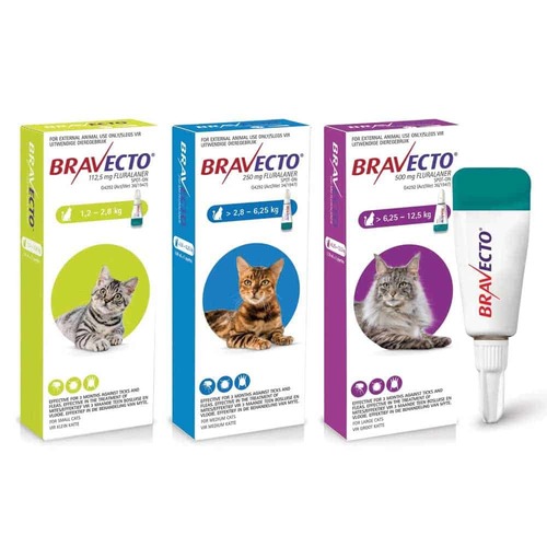 Bravecto אמפולה - טיפול בפרעושים וקרציות לחתולים