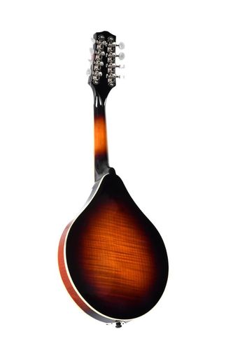 מנדולינה נרתיק SIGMA A-Style Mandolin Solid Spruce Top Flamed Maple MA-2