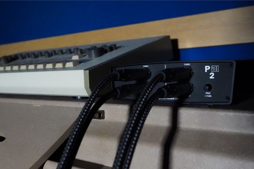 זווית נוספת Heritage Audio 73 P DI2 - DI Box