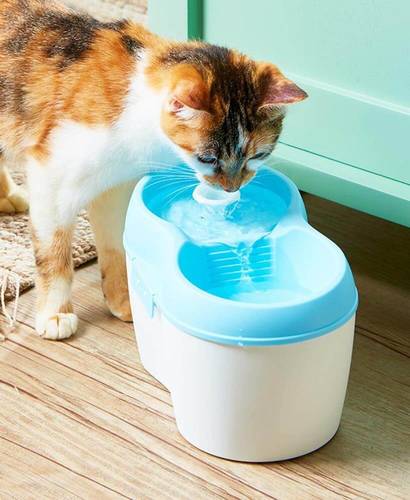 מזרקת מים לחתול H2O כחולה + פילטר ואבן פלואוריד 2 ליטר