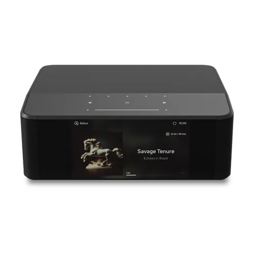BLUESOUND NODE ICON (N530)
