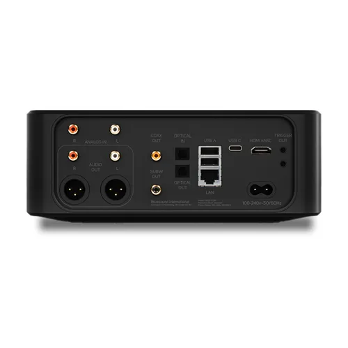 BLUESOUND NODE ICON (N530)