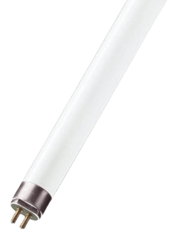 נורה לקטלן 8W - T5