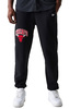 מכנסי ניו ארה New Era NBA ARCH GRPHC JOGGER | גברים