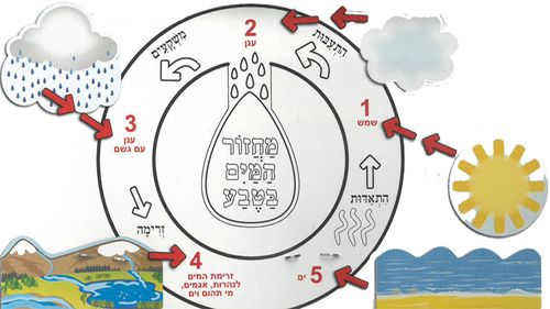 36 יצירה מחזור המים בטבע/אפונה