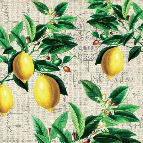 חבילת מפיות קפרי 33x33 ס