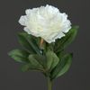 49b1680444fde1c27b63f18540eea129