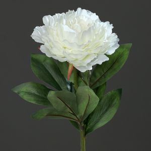 פיונה 63 ס"מ קרם Peony spray