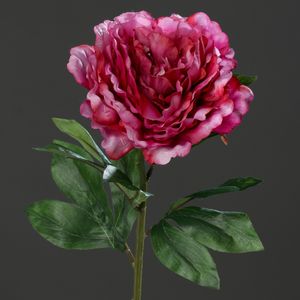פיונה 63 ס"מ פוקסיה Peony spray