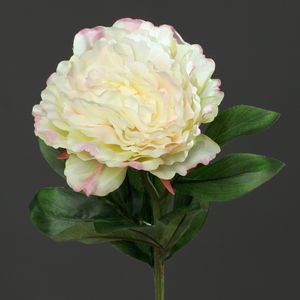 פיונה 63 ס"מ קרם-ירוק Peony spray