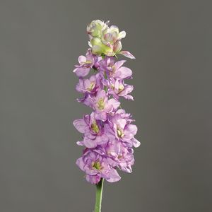 דלפיניום 82 ס"מ סגול Delphinium
