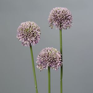 ענף אליום 46 ס"מ סגול לילך Allium spray