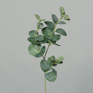 ענף אקליפטוס 64 ס"מ ירוק eukalyptus
