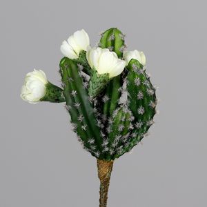 קקטוס עם פרחים קרם 22 ס"מ Cactus Pick