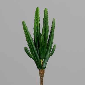 קקטוס 26 ס"מ Cactus Pick