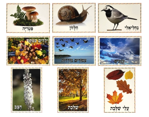 ערכת תמונות - מבשרי הסתיו