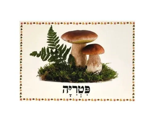 ערכת תמונות - מבשרי הסתיו