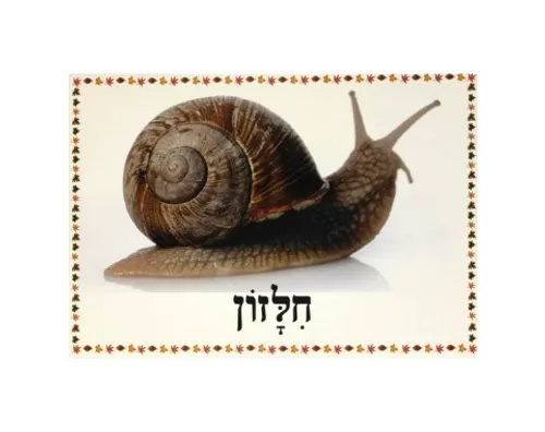ערכת תמונות - מבשרי הסתיו