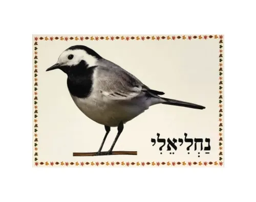 ערכת תמונות - מבשרי הסתיו