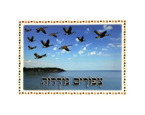 ערכת תמונות - מבשרי הסתיו