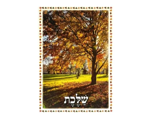 ערכת תמונות - מבשרי הסתיו