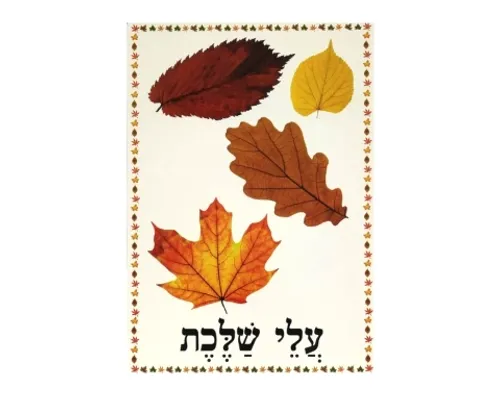 ערכת תמונות - מבשרי הסתיו