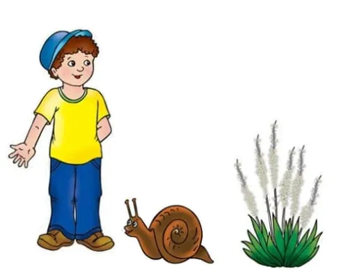 ערכת סיפור בהמחשה - 