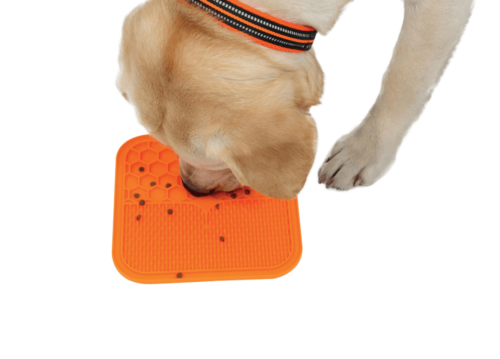 אמ פטס M-Pets משטח ליקוק L ריבוע כתום 30*30 לכלב ולחתול