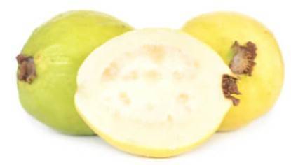 גויאבה ורודה 1 קילוגרם