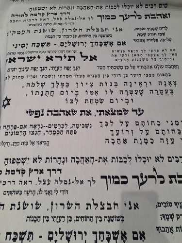  פשתן שיר השירים 