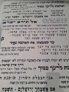  פשתן שיר השירים 