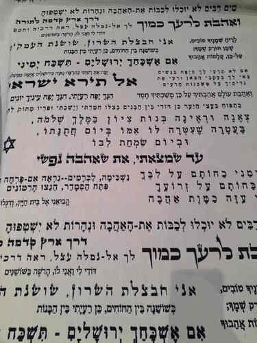 קנבס מודפס שיר השירים רקע לבן כיתוב בשחור