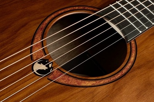 זוית נוספת lag sauvage-dce bass electro acoustic guitar