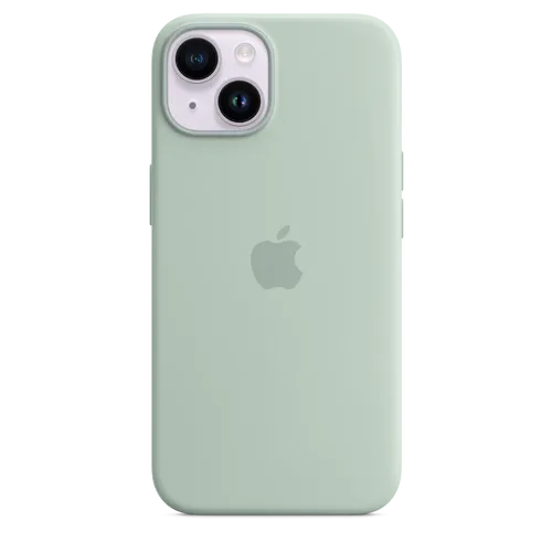 ירוק מנטה (Succulent)