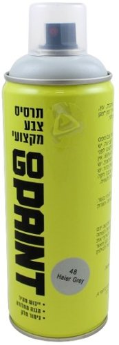 תרסיס צבע אקרילי מקצועי GO PAINT - צבע אפור 48