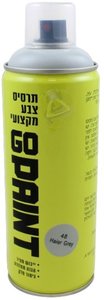 תרסיס צבע אקרילי מקצועי GO PAINT - צבע אפור 48