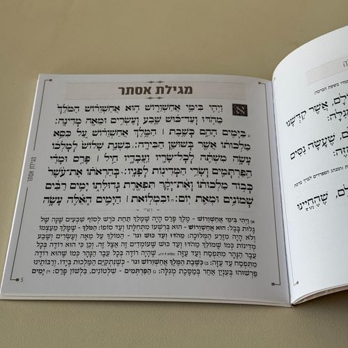 מגילת אסתר דמוי עור ורוד
