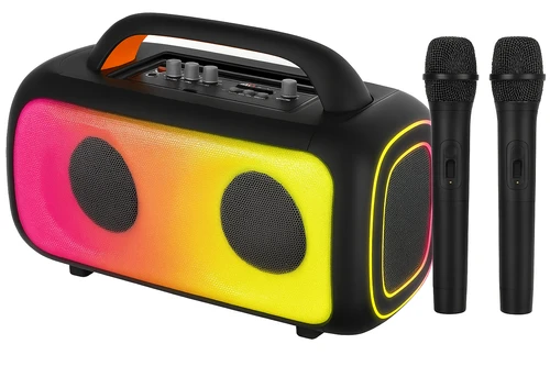 בידורית קריוקי 13 אינץ’ בעוצמה של 50w כולל 2 מיקרופון אלחוטי