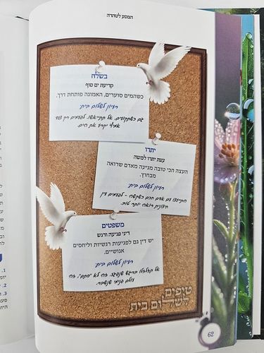 המסע לטהרה -  מדריך אישי פרקטי ומרתק לטהרת המשפחה ושלום בית