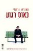 כאוס רגוע (יד 2)- סאנדרו ורונזי 