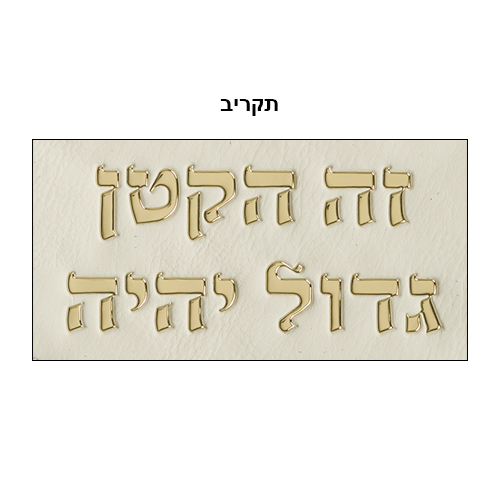 כרית לברית מילה מפוארת אותיות בולטות דמוי עור