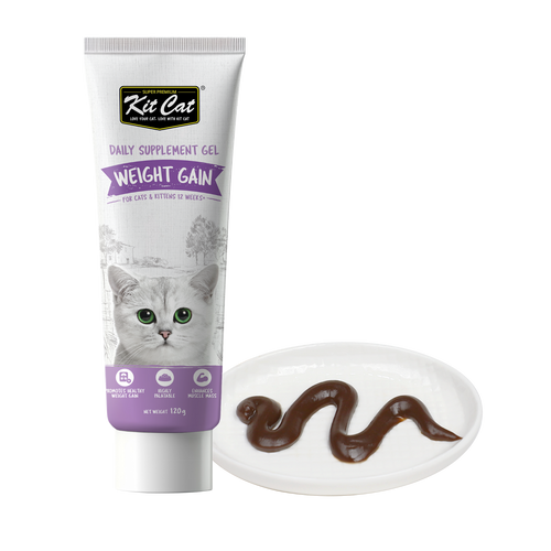 קיט קט ג'ל לעלייה בריאה במשקל לחתול 120 גרם Kit Cat