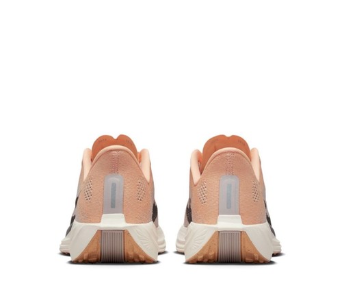 נעלי נייק Nike Pegasus Plus | נשים