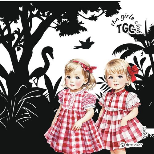 גליל מדבקות שקופות ד