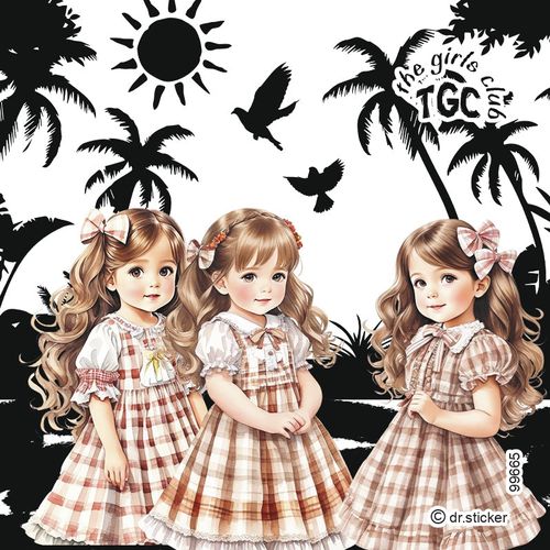 גליל מדבקות שקופות ד