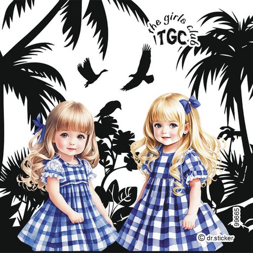 גליל מדבקות שקופות ד