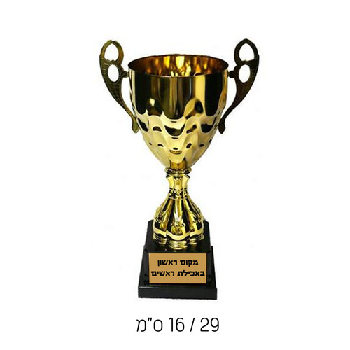 גביע ניצחון מוזהב עם הקדשה אישית – S - גובה 27 ס