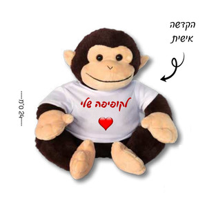 בובת קוף עם חולצה בעיצוב אישי והקדשה 