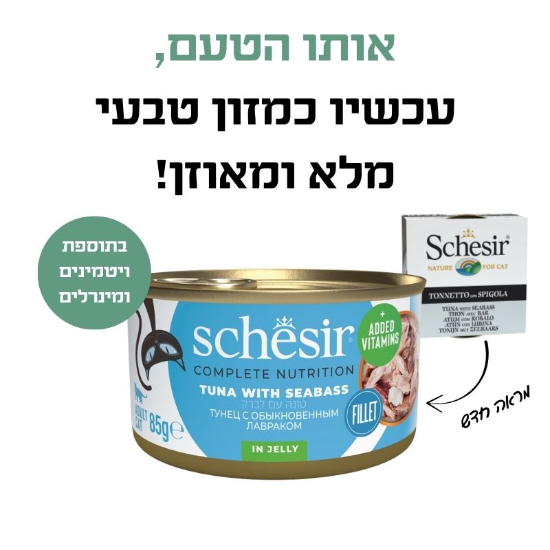 שימור טונה עם לברק בג