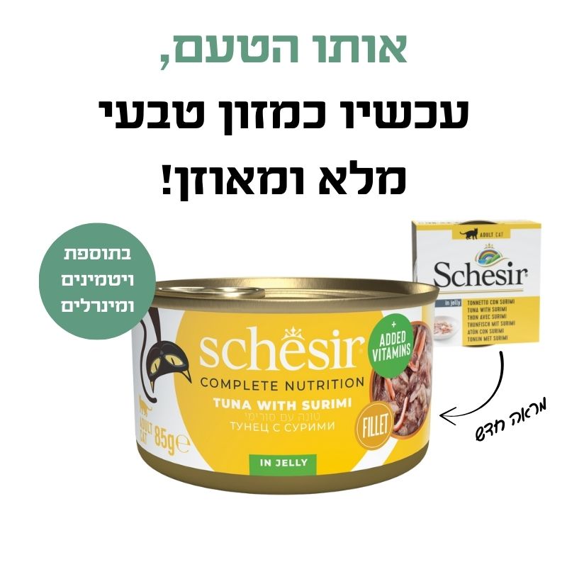 שימור טונה עם סורימי בג